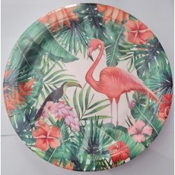 Tropical Flamingo 