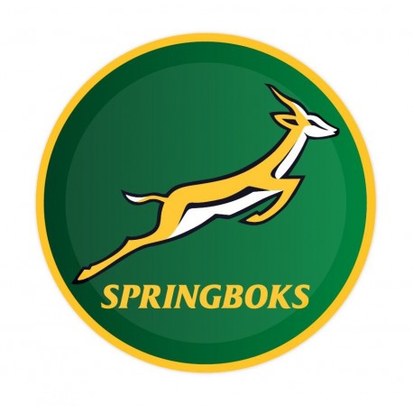 Springbok Rugby Plates (pk/8)