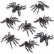 Halloween Spiders 6 cm (pk/8)