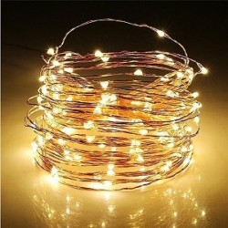 Indoor Copper Wire Led Lights -Warm White (2m)