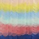 Rainbow Ombre Tissue Paper Disk Backdrop