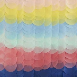 Rainbow Ombre Tissue Paper Disk Backdrop