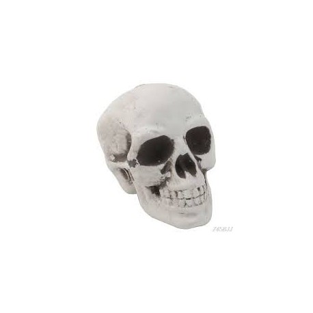 Skeleton head