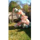 Balloon Garland (half circle 1.8m)