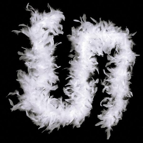 White Feather Boa - Pair with a flapper headband for effect. 