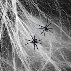 White Spiderweb with 2 Spiders