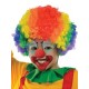 Wig clown Multi Colour