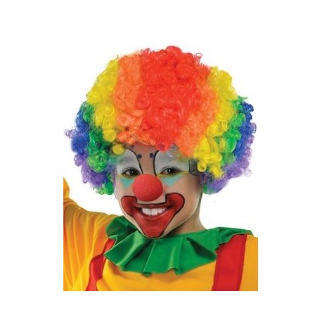 Wig clown Multi Colour