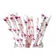 Flamingo Paper Straws | Flamingo Party Supplies South Africa