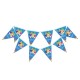 Baby Shark flag banner| Baby shark party supplies South Africa