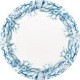 Blue Reef Paper Plates - South Africa 