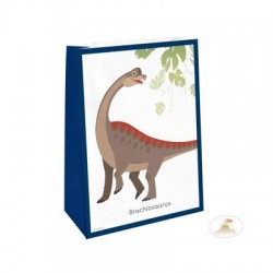 Dinosaur Party Bags 