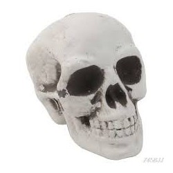 Small Skeleton head