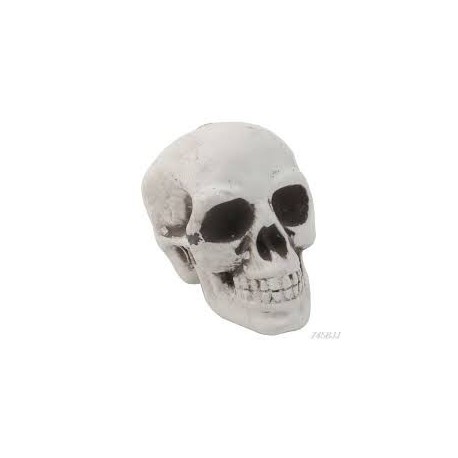Small Skeleton head