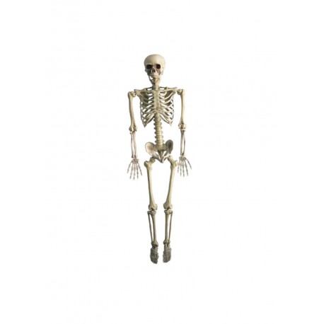 Hanging Poly Skeleton