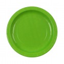 Lime Green Party Supplies